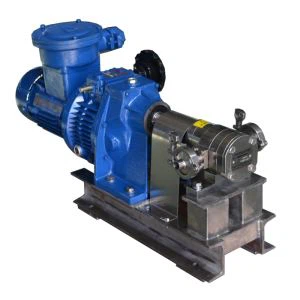 Pam gear keluli tahan karat luaran